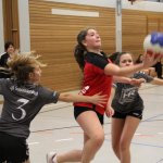2018_01_13 Landesliga J15